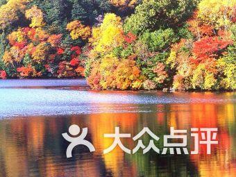 拯救落难小鸟