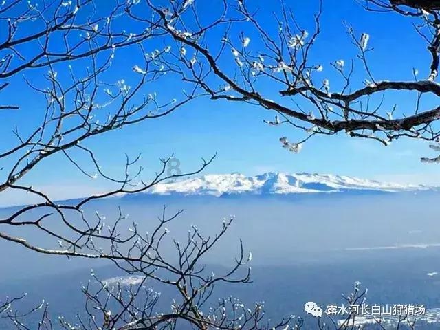 要塞十字军东征2